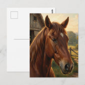 Carte Postale Cheval Alezan Heure Dorée Grange (Devant / Derrière)
