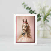 Carte Postale Cheval américain à selle (Debout devant)