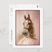 Carte Postale Cheval américain à selle (Devant / Derrière)