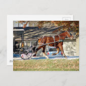 Carte Postale Cheval Amish Automne (Devant / Derrière)