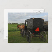 Carte Postale Cheval Amish et Buggy au coucher du soleil (Devant / Derrière)