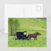 Carte Postale Cheval Amish et buggy près de Berlin, Ohio. (Devant / Derrière)