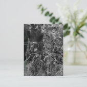 Carte Postale Cheval Amish Grunge noir et blanc (Debout devant)