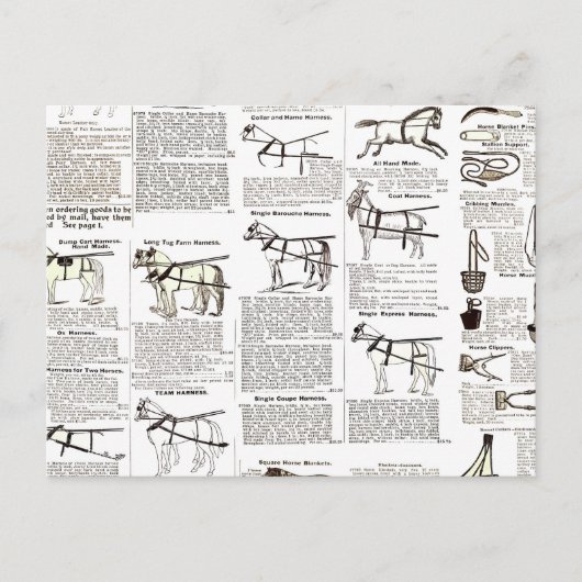 Carte Postale Cheval Antique Publicité Journal Art (Devant)