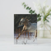 Carte Postale Cheval Appaloosa courant dans la neige (Debout devant)