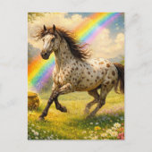 Carte Postale Cheval Appaloosa et un pot d'or (Devant)
