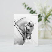 Carte Postale Cheval arabe (Debout devant)