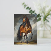 Carte Postale cheval arabe (Debout devant)
