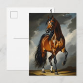 Carte Postale cheval arabe (Devant / Derrière)