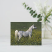 Carte Postale Cheval arabe debout en fleurs (Debout devant)