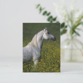 Carte Postale Cheval arabe debout en fleurs (Debout devant)