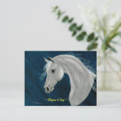 Carte postale Cheval Arabe Gris (Debout devant)
