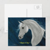 Carte postale Cheval Arabe Gris (Devant / Derrière)