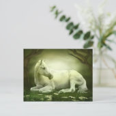 Carte Postale Cheval Arabe gris (Debout devant)