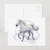 Carte Postale Cheval arabe gris (Devant / Derrière)