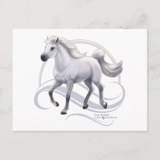 Carte Postale Cheval arabe gris (Devant)