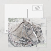 Carte Postale Cheval Art 2010 3 (Devant / Derrière)