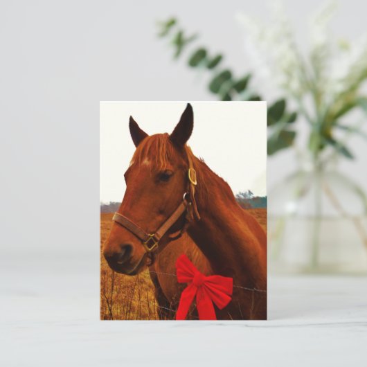 Carte Postale Cheval avec Bow rouge (Debout devant)