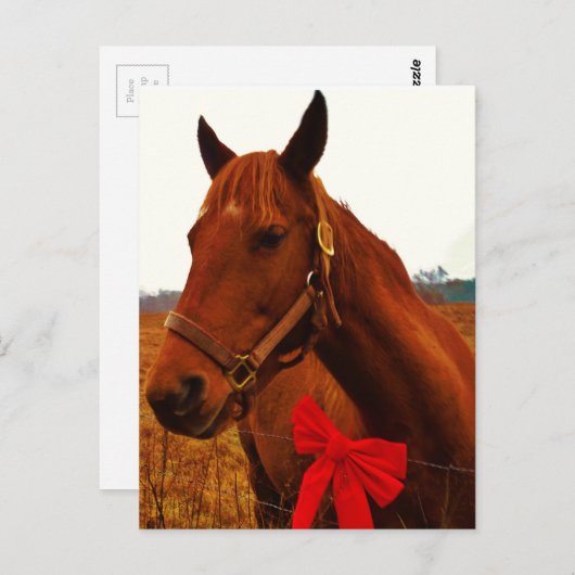 Carte Postale Cheval avec Bow rouge (Devant / Derrière)