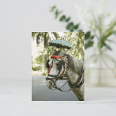 Carte Postale Cheval avec parasol, Madrid, Espagne (Debout devant)