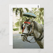 Carte Postale Cheval avec parasol, Madrid, Espagne (Devant / Derrière)