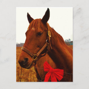 Carte Postale Cheval avec un ruban rouge