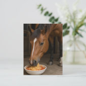 Carte Postale cheval bai mignon mangeant des spaghetti (Debout devant)