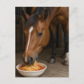 Carte Postale cheval bai mignon mangeant des spaghetti (Devant)