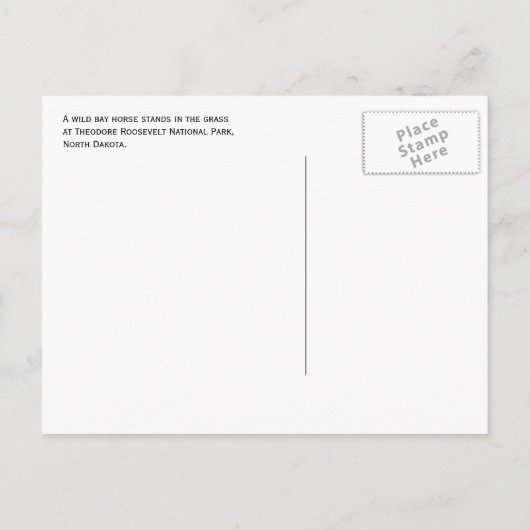 Carte Postale Cheval bai sauvage. Parc national Theodore Rooseve (Dos)
