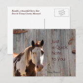 Carte postale Cheval & Barnwood - cutomize (Devant / Derrière)