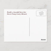 Carte postale Cheval & Barnwood - cutomize (Dos)