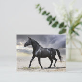 Carte Postale Cheval Black Stallion - Bonjour, Merci, Amour (Debout devant)
