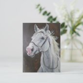 Carte Postale Cheval blanc (Debout devant)