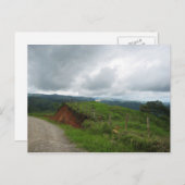 Carte Postale Cheval blanc (Devant / Derrière)