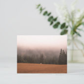 Carte Postale Cheval blanc (Debout devant)