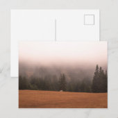 Carte Postale Cheval blanc (Devant / Derrière)