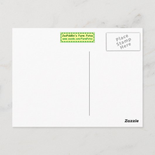 Carte postale Cheval Blanc (Dos)