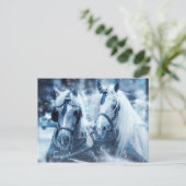 Carte postale Cheval Blanc (Debout devant)