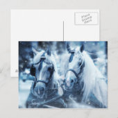 Carte postale Cheval Blanc (Devant / Derrière)