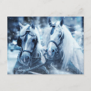 Carte postale Cheval Blanc