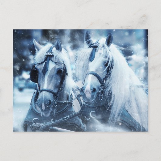 Carte postale Cheval Blanc (Devant)