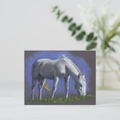 CARTE POSTALE CHEVAL BLANC : COULEUR RÉALISME PENCIL (Debout devant)
