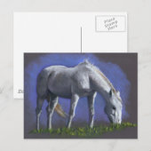 CARTE POSTALE CHEVAL BLANC : COULEUR RÉALISME PENCIL (Devant / Derrière)