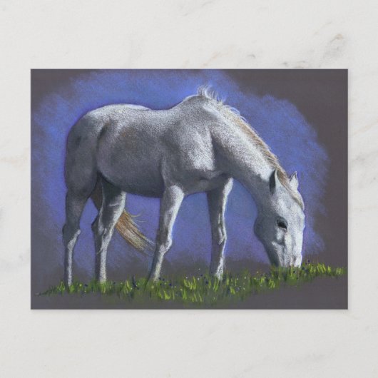 CARTE POSTALE CHEVAL BLANC : COULEUR RÉALISME PENCIL (Devant)