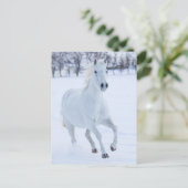 Carte Postale Cheval blanc courant dans la neige (Debout devant)