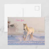 Carte Postale cheval blanc dans la neige (Devant / Derrière)
