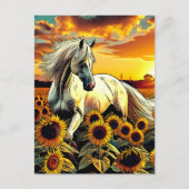 Carte Postale Cheval blanc dans le champ des tournesols au couch (Devant)