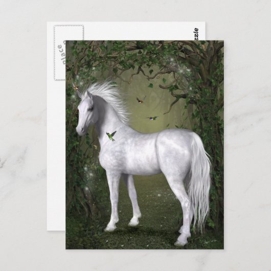 Carte postale Cheval blanc dans les bois avec coli (Devant / Derrière)