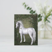 Carte Postale Cheval blanc dans les bois avec des colibris (Debout devant)