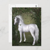 Carte Postale Cheval blanc dans les bois avec des colibris (Devant / Derrière)